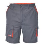 Desman Shorts